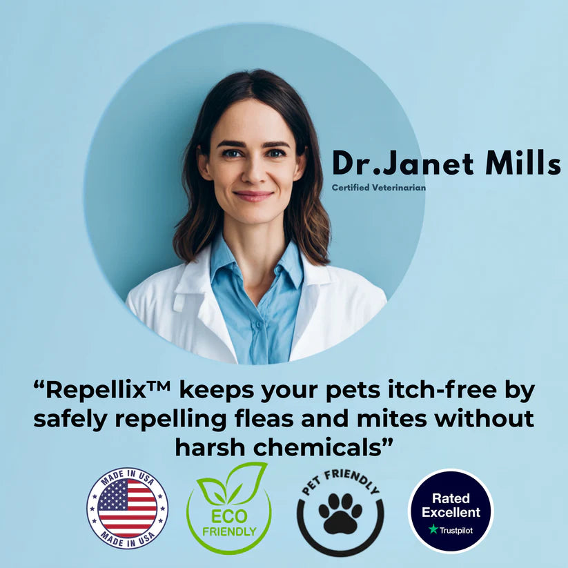 Don't Let Pests Put Your Pets and Family's Health At Risk